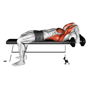 Dumbbell Bent Arm Pullover Hold Isometric
