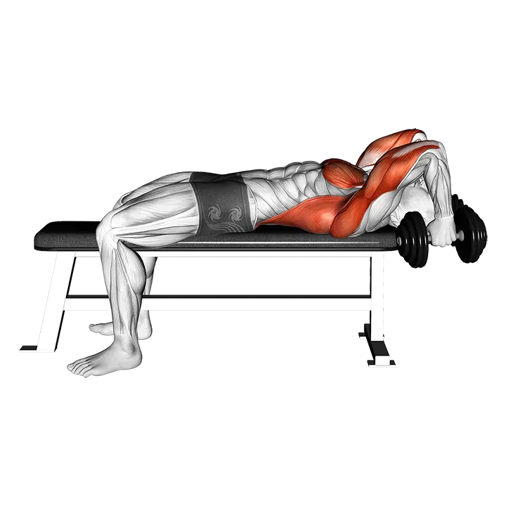 Dumbbell Bent Arm Pullover Hold Isometric exercise animation (Male)