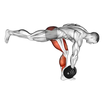 Dumbbell RDL Stretch Isometric