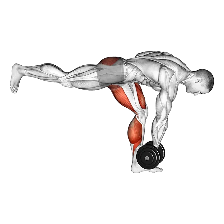 Dumbbell RDL Stretch Isometric exercise animation (Male)