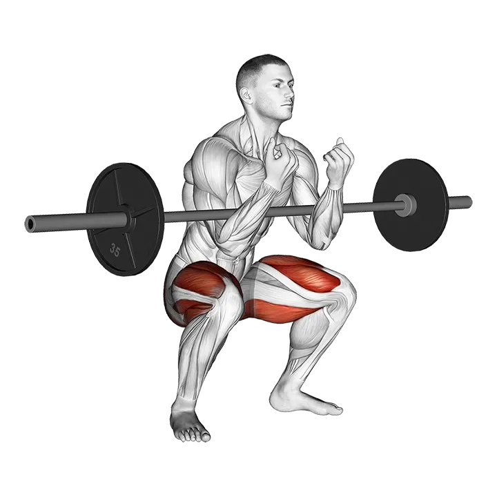 Barbell Zercher Squat Hold Isometric exercise animation (Male)