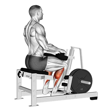 Lever Calf Stretch (plate loaded) Isometric