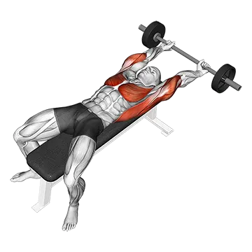 Barbell Pullover Hold Isometric