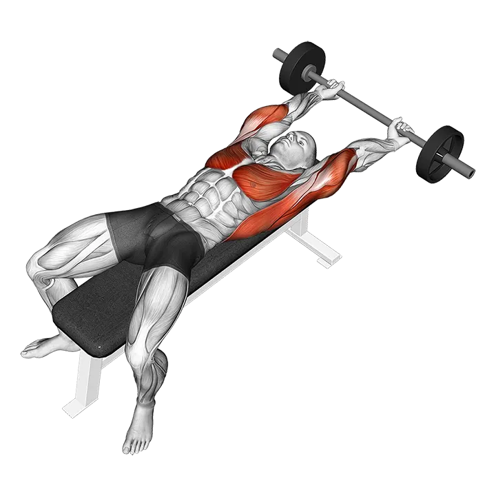 Barbell Pullover Hold Isometric exercise animation (Male)