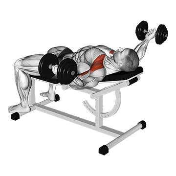 Dumbbell Incline 30 degrees Flye Hold Isometric