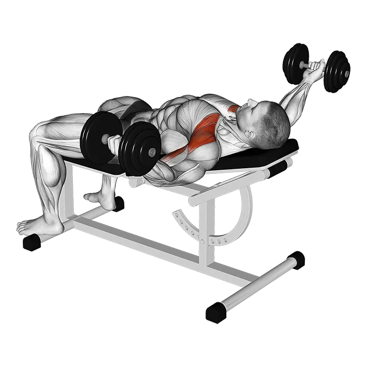 Dumbbell Incline 30 degrees Flye Hold Isometric exercise animation (Male)