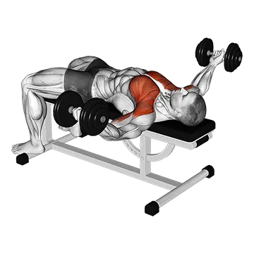 Dumbbell Flat Flye Hold Isometric