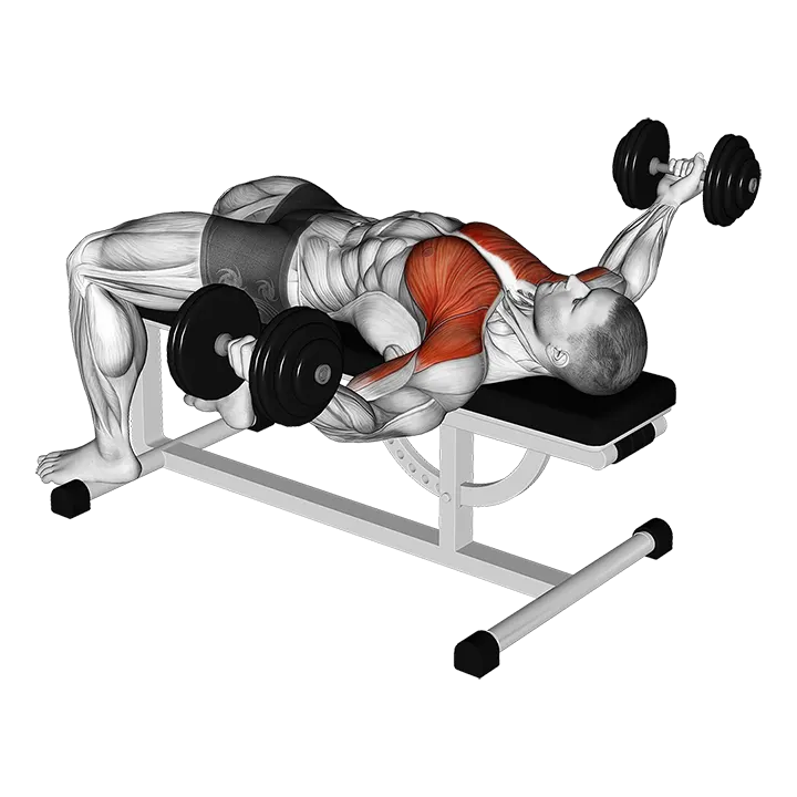 Dumbbell Flat Flye Hold Isometric exercise animation (Male)