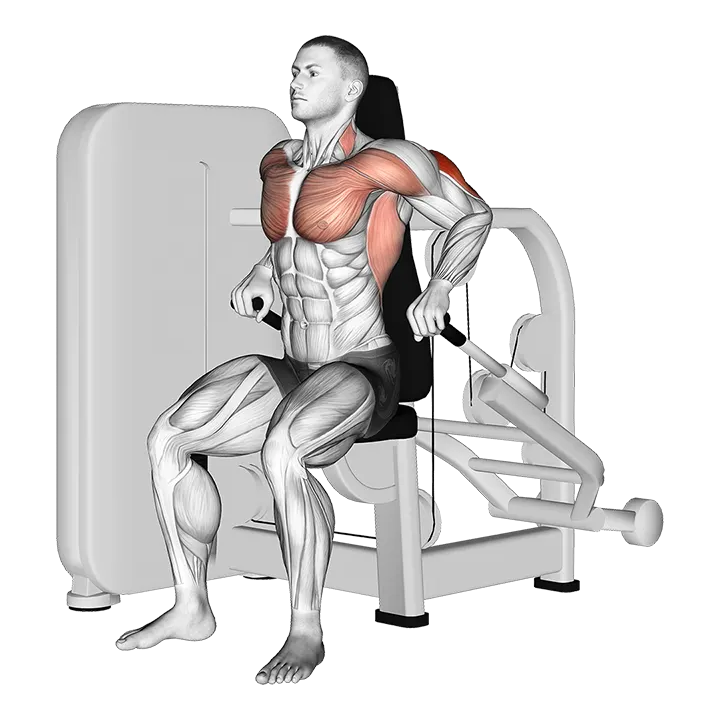 Lever Seated Dip exercise animation (Male)