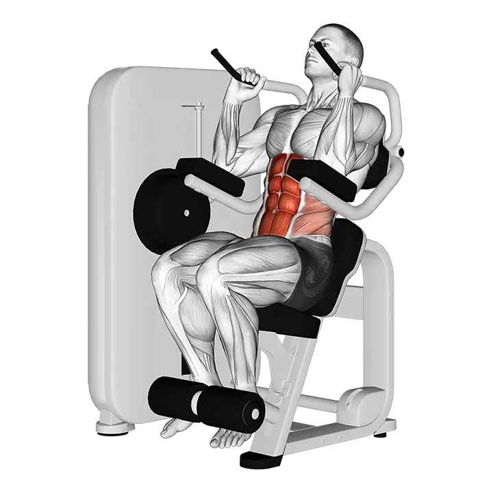 Lever Seated Crunch exercise animation (Männlich)