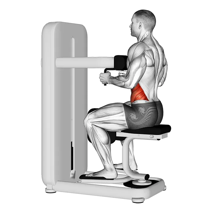 Lever Seated Twist exercise animation (Male)