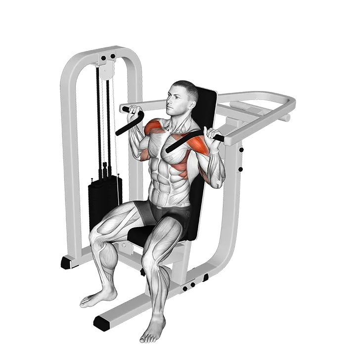 Lever Seated Shoulder Press exercise animation (Männlich)