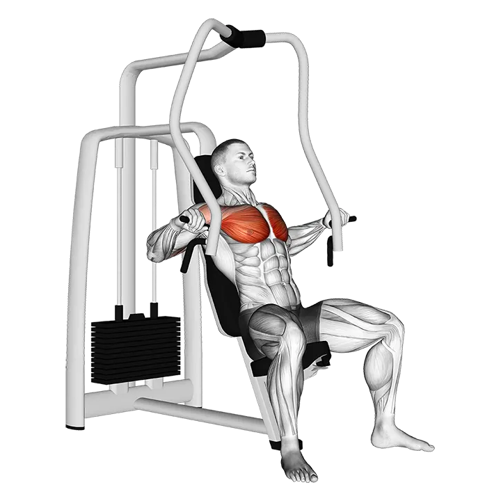Lever Chest Press (VERSION 2) exercise animation (Male)