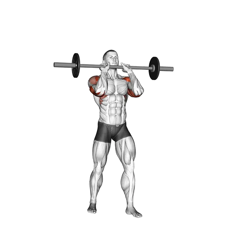 Barbell Standing Close Grip Military Press exercise animation (Male)
