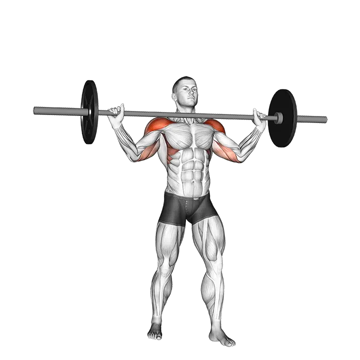 Barbell Standing Wide Military Press exercise animation (Male)