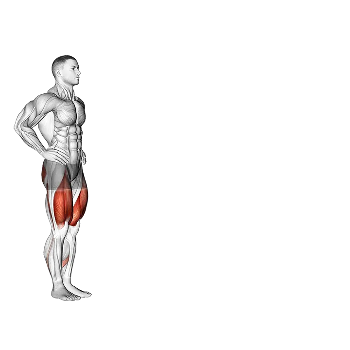 Walking Lunge exercise animation (Male)