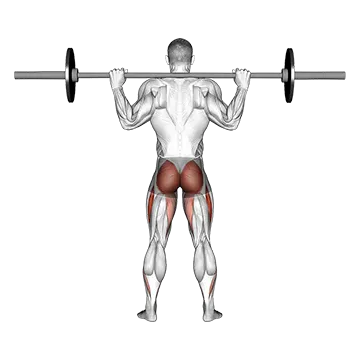 Barbell Full Squat (Back POV)