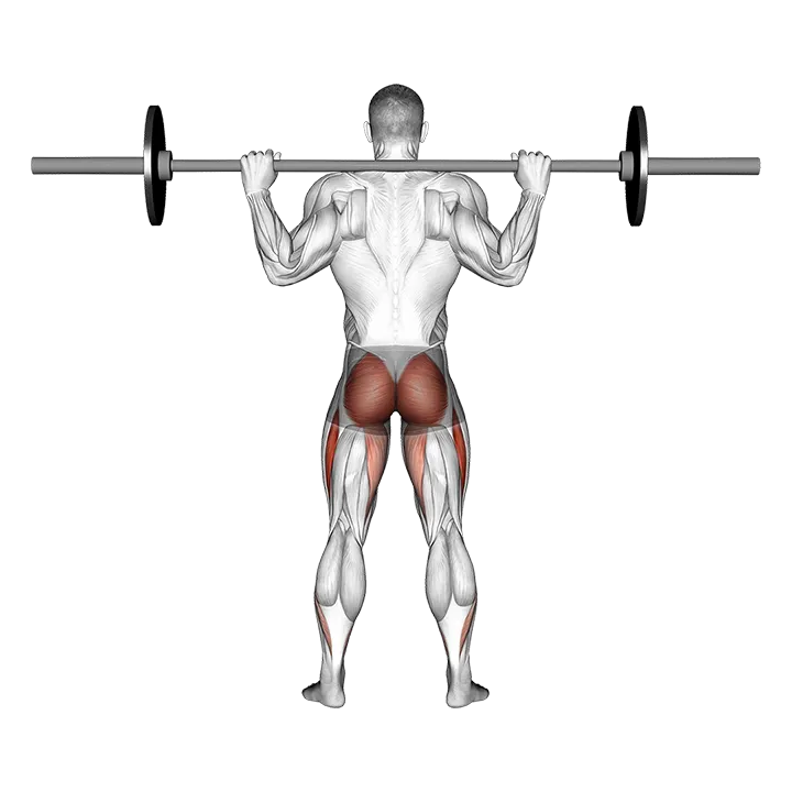 Barbell Full Squat (Back POV) exercise animation (Male)