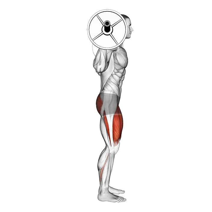 Barbell Full Squat (Side POV) exercise animation (Male)