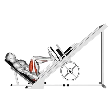 Sled 45┬░ Leg Press (Side POV)