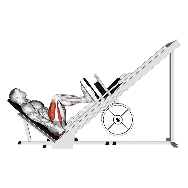 Sled 45° Leg Press (Side POV) exercise animation (Männlich)