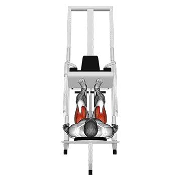 Sled 45┬░ Leg Press (Back POV)