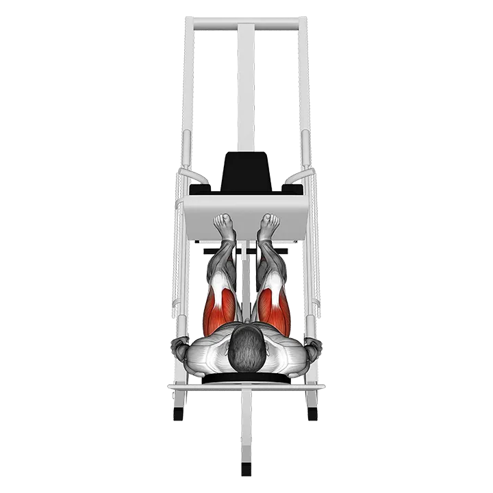 Sled 45° Leg Press (Back POV) exercise animation (Männlich)