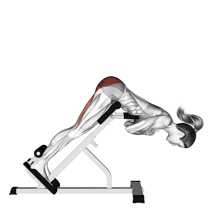 45 degree hyperextension (arms in front of chest) (Side-POV) exercise animation (Female)