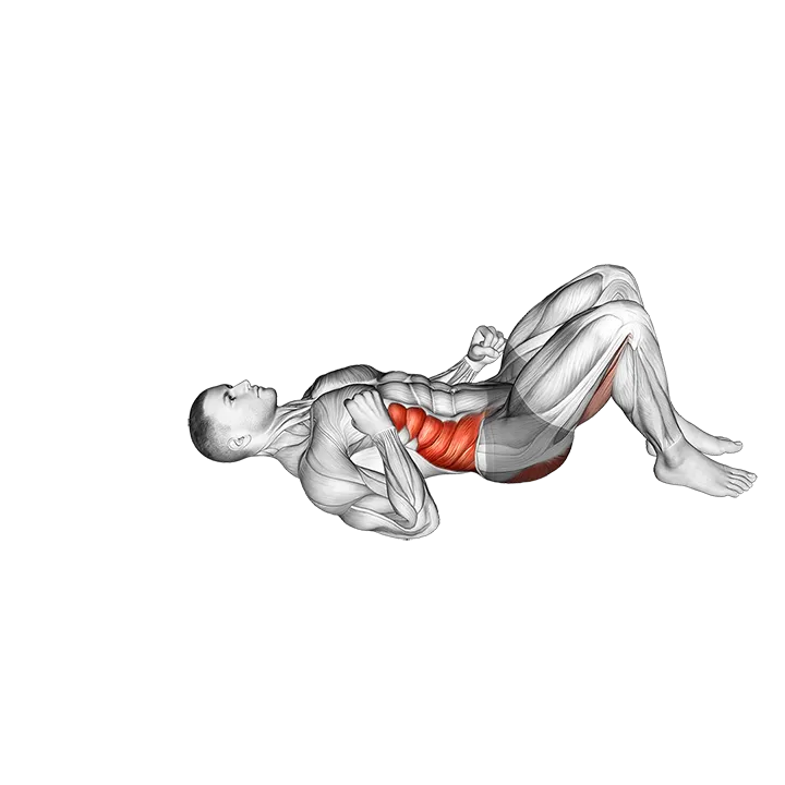 Twist Hip Lift exercise animation (Male)