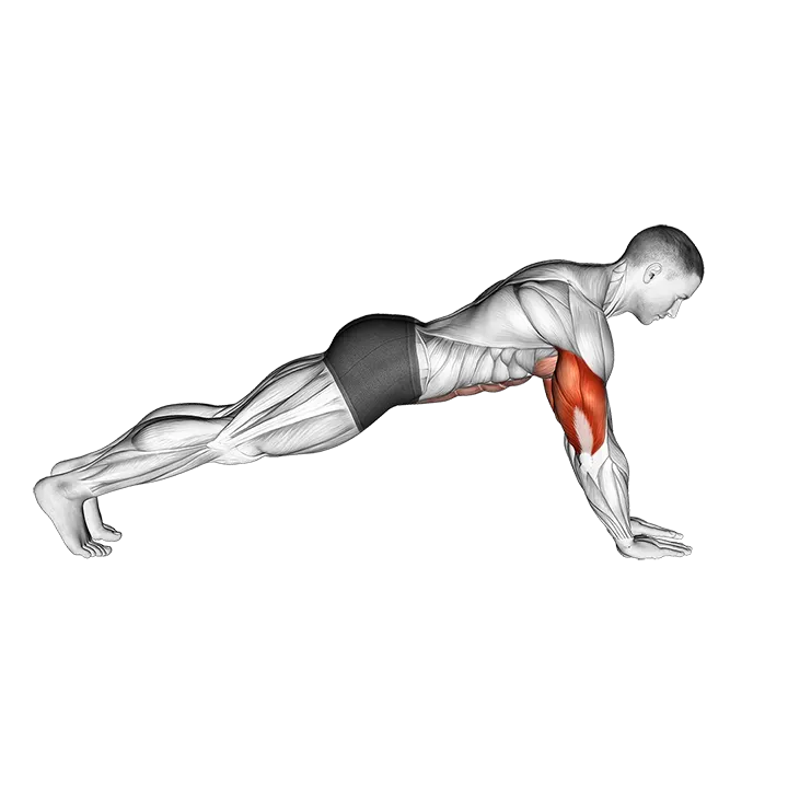 Push-up on Forearms exercise animation (Male)