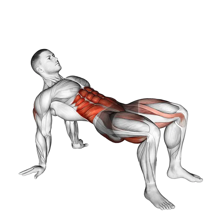 Crab Twist Toe Touch exercise animation (Male)