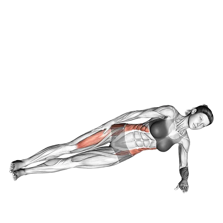 Lateral Side Plank exercise animation (Female)