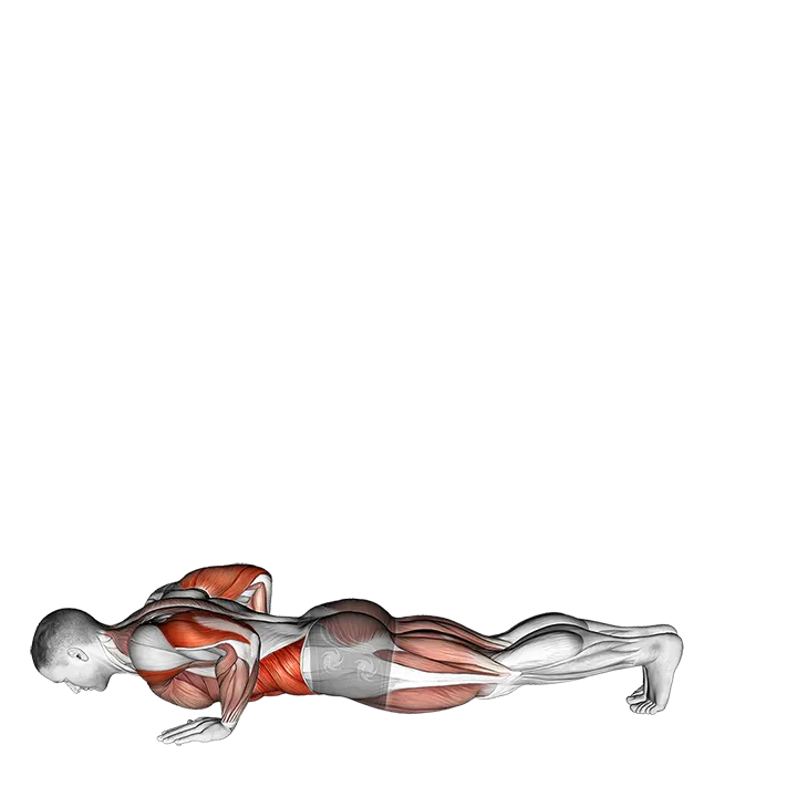 Inchworm exercise animation (Männlich)