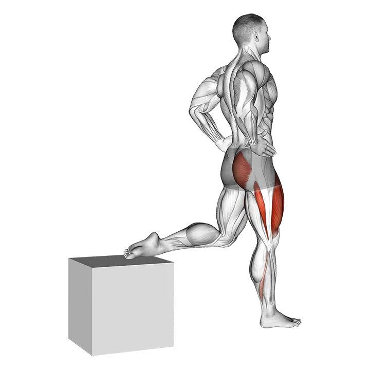 One Leg Squat exercise animation (Male)