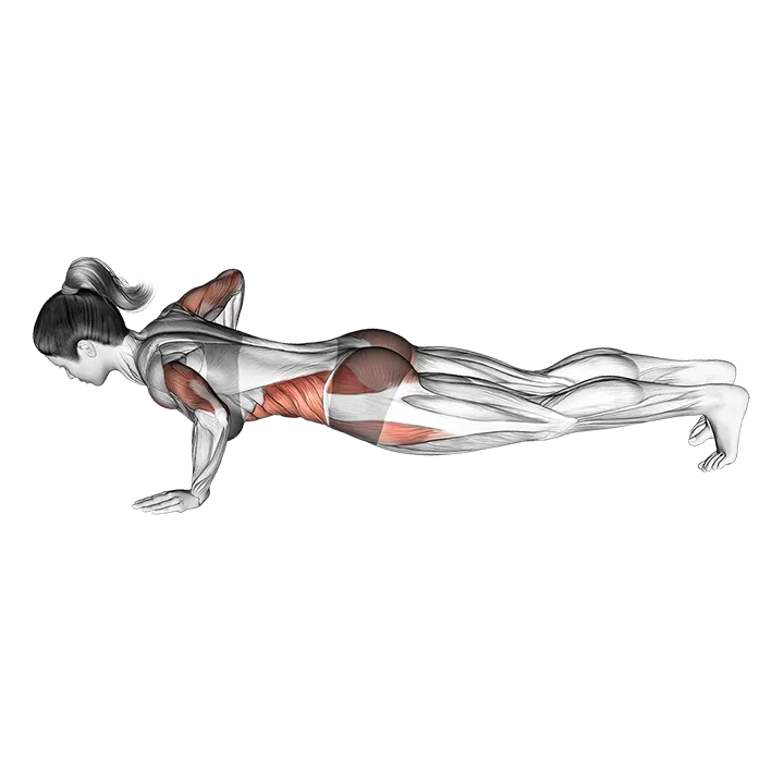 Jack Plank exercise animation (Female)