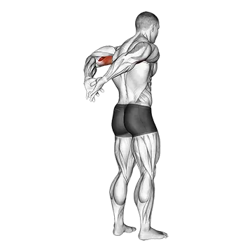 Biceps Stretch Behind The Back