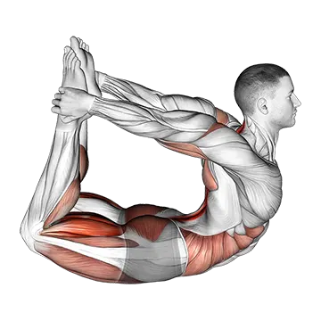 Bow Yoga Pose