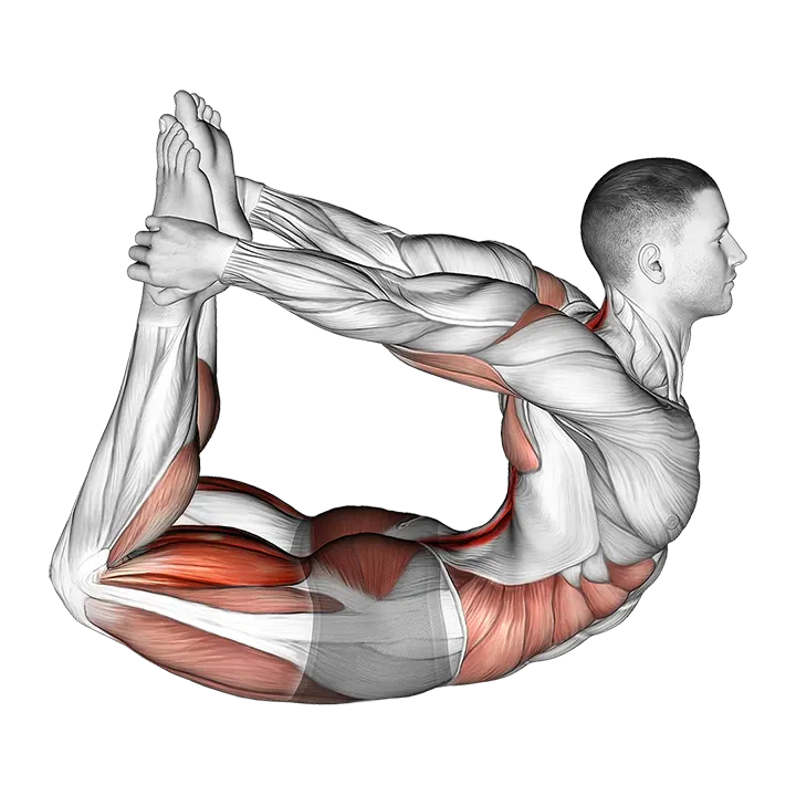 Bow Yoga Pose exercise animation (Male)