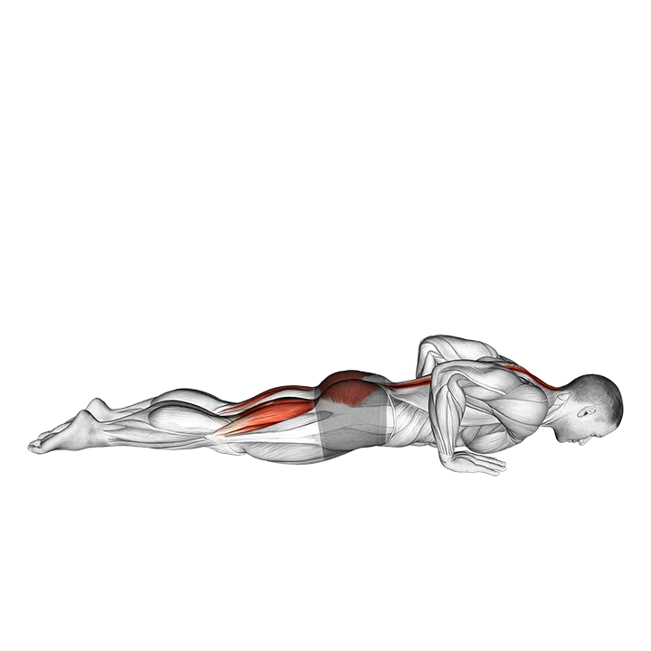 Cobra Yoga Pose exercise animation (Male)