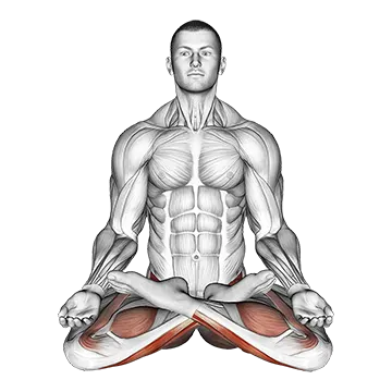 Full Lotus Yoga Pose