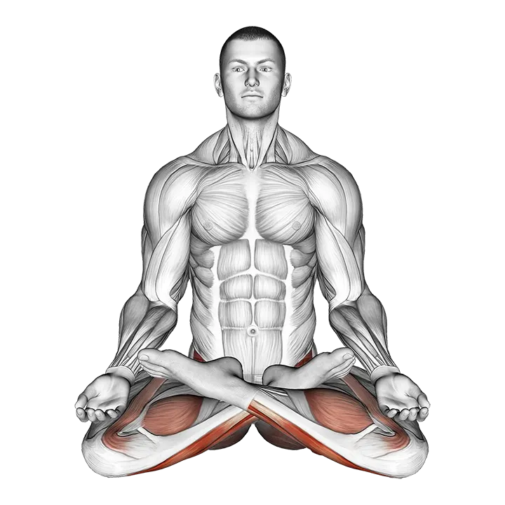 Full Lotus Yoga Pose exercise animation (Male)