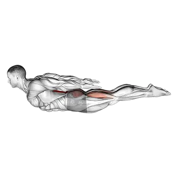 Locust Yoga Pose (Iron Man Pose)