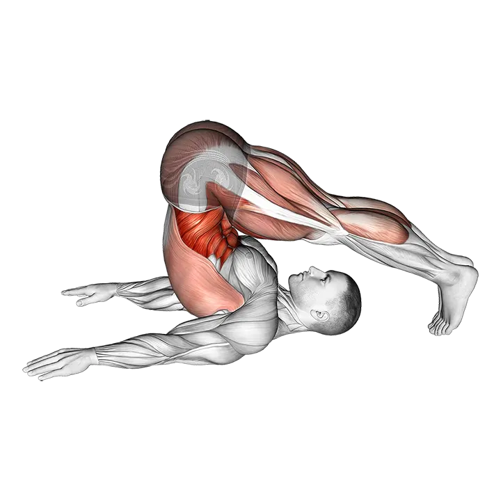 Plow Yoga Pose exercise animation (Male)