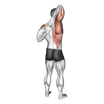 Shoulder Stretch Behind the Back