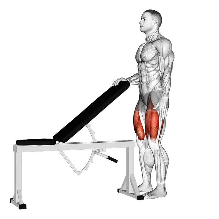 Sissy Squat exercise animation (Male)
