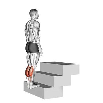 Standing Calf Raise (On a staircase)