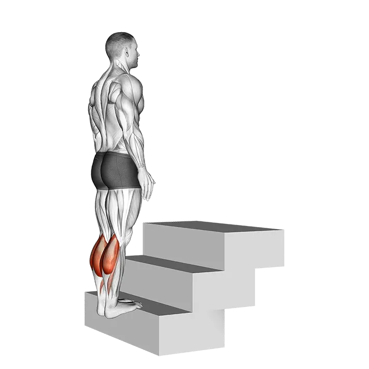Standing Calf Raise (On a staircase) exercise animation (Hombre)