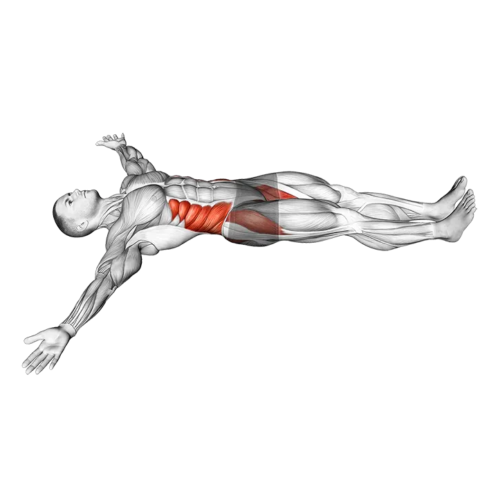 Supine Spinal Twist Yoga Pose exercise animation (Male)