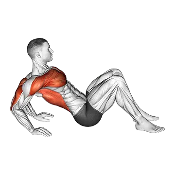 Triceps Dip Stretch