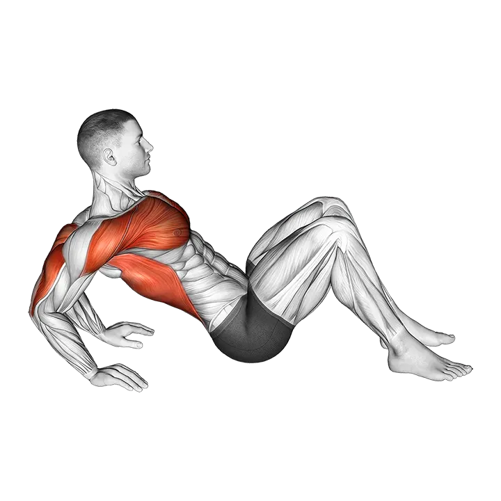 Triceps Dip Stretch exercise animation (Male)